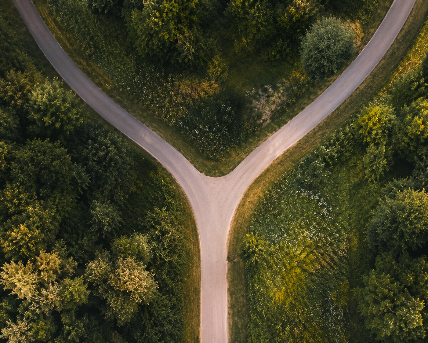 Two roads through a forest, representing choice